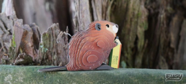 Eugy 3D - Bever (Beaver)