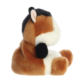 Palm Pals  - Cavia Nutmeg (Guinea Pig Nutmeg)