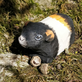 Wudimals - Cavia (Guinea Pig)