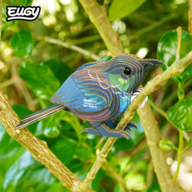 Eugy 3D - Koko Toei (Koko Tui #0149)
