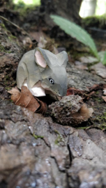 Wudimals - Muis (Mouse)