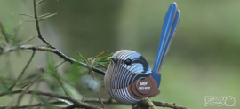 Eugy 3D - Ornaatelfje (Fairy Wren)