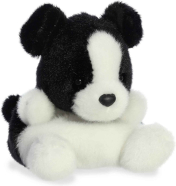 Palm Pals  - Border Collie Brody