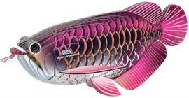 Eugy 3D - Drakenvis (Asian Arowana)