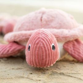 Les Ptipotos -  Sauvenou de Schildpad Mama & Baby Roze