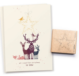 Cats on Appletrees - Stempel Confetti Ster (1)