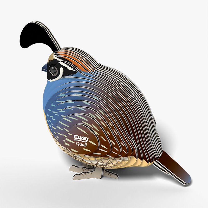 Eugy 3D - Californische Kuifkwartel (Quail #129)
