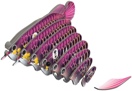 Eugy 3D - Drakenvis (Asian Arowana)