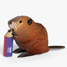 Eugy 3D - Bever (Beaver)