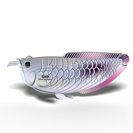 Eugy 3D - Zilveren Arowana (Silver Arowana)