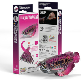 Eugy 3D - Drakenvis (Asian Arowana)