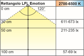 L&S Oxford | Emotion | RVS | remote | 2 spots