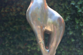 Giraffe Goud gemeleerd kleur