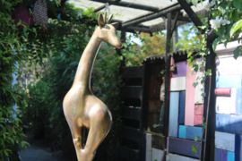 Giraffe Goud gemeleerd kleur