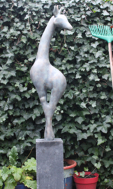 Giraffe tuinbeeld Brons verweerd VERKOCHT