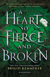 A Heart So Fierce and Broken | Brigid Kemmerer