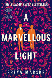 A Marvellous Light | Freya Marske