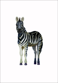 Dieren poster zebra