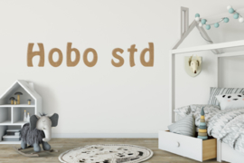 Hobo STD