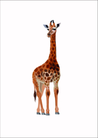 Dieren poster giraffe