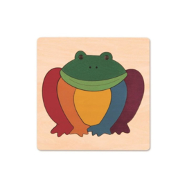 Rainbow Frog