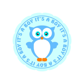 It's a boy sticker 1