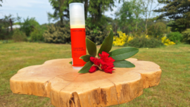 Süda Care voetencrème met 15% urea 100 ml