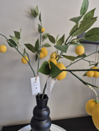 Citroen Kunsttak – Inclusief Kaartje