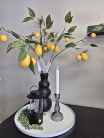 Citroen Kunsttak – Inclusief Kaartje