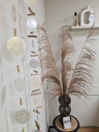 Palm naturel