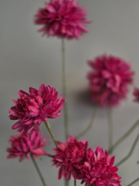 Kunstbloem Beau Dahlia Pinnata  Roze