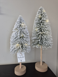 kerstboompjes met verlichting (set van 2)