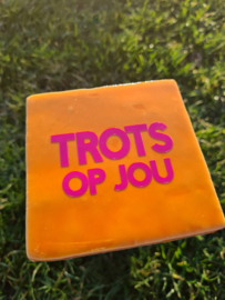Tegeltje trots op jou