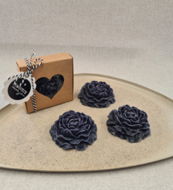 Cadeau set Amber roos