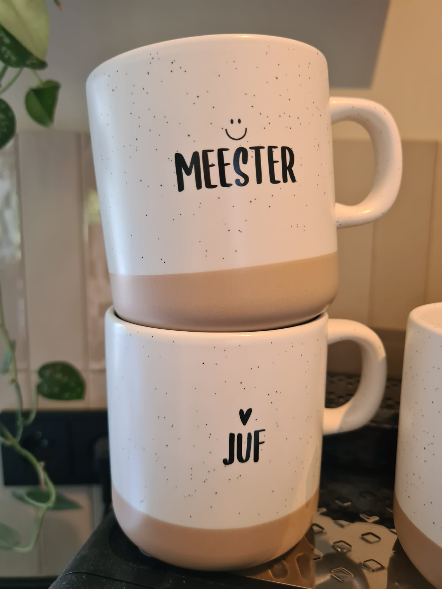 Mok Meester