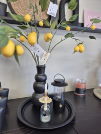 Citroen Kunsttak – Inclusief Kaartje