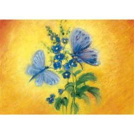 M. v. Zeyl Blauwe vlinders 321