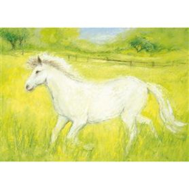 Marjan van Zeyl Witte paardje 320