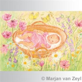 Marjan van Zeyl Baby in mandje 452