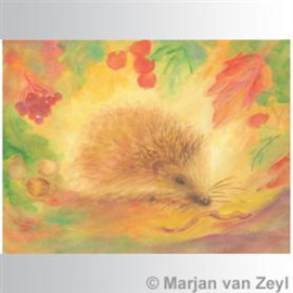 Marjan van Zeyl Egel 426