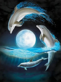 Dolfijnen op zee