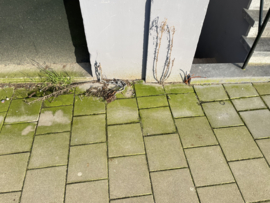 Achtertuin tegel bewerkt met de zachte methode