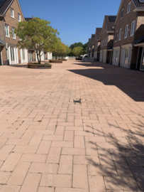 Schoonmaken en coaten Oegstgeest