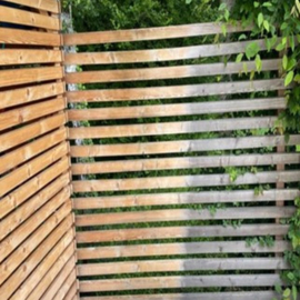 Houtbescherming
