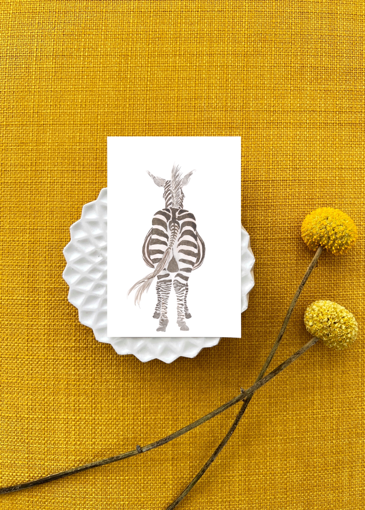Ansichtkaart Zebra