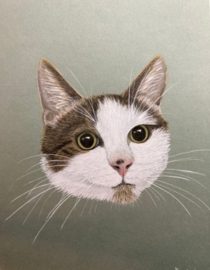 Cadeaubon huisdier portret