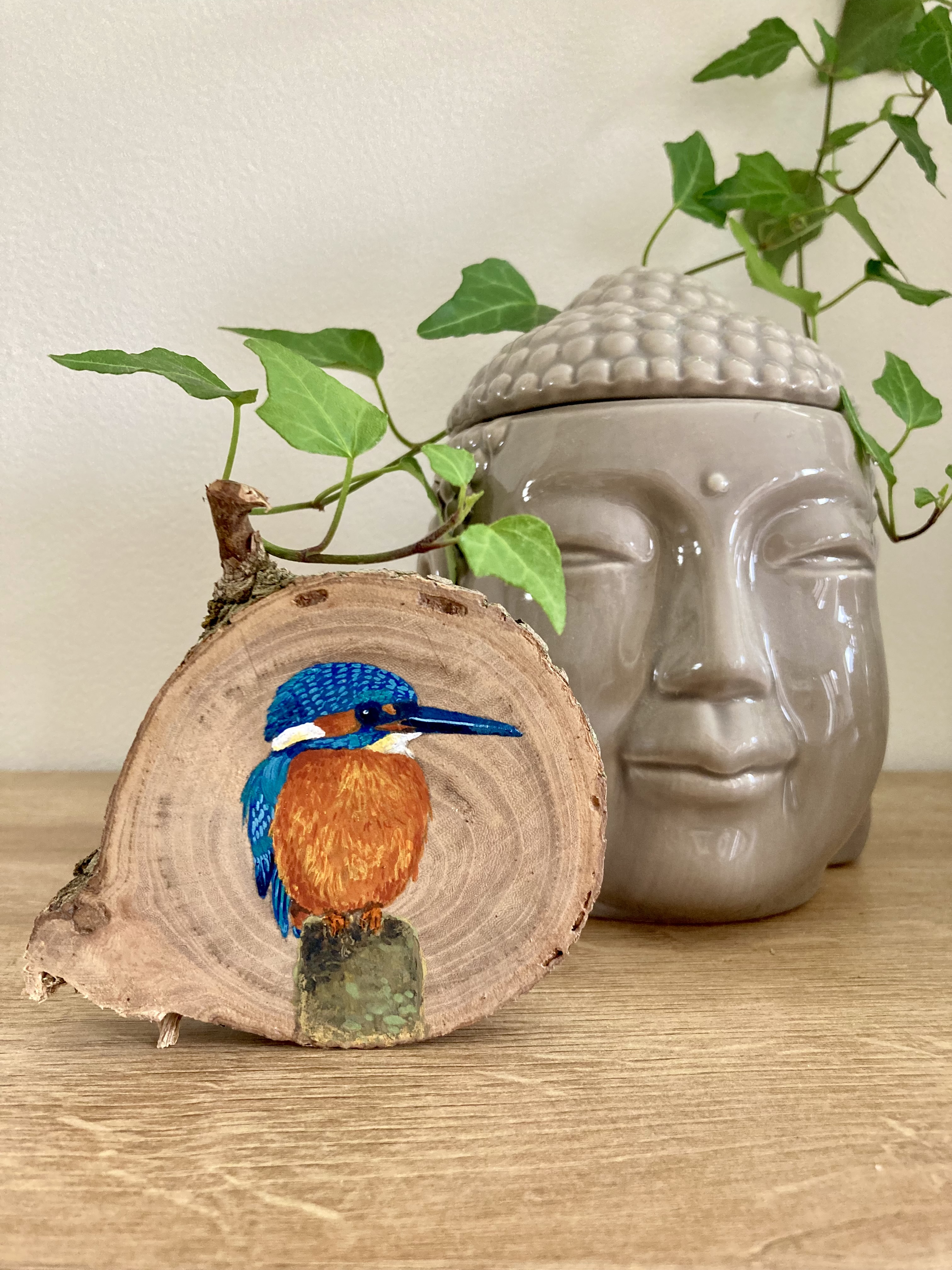 Boomschijfje IJsvogel
