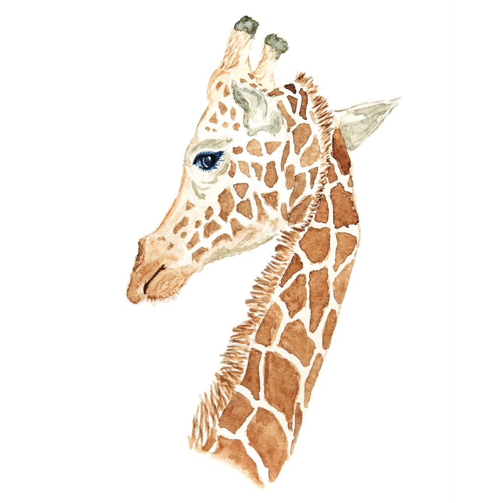 Poster Giraffe