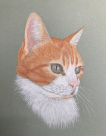 Cadeaubon huisdier portret