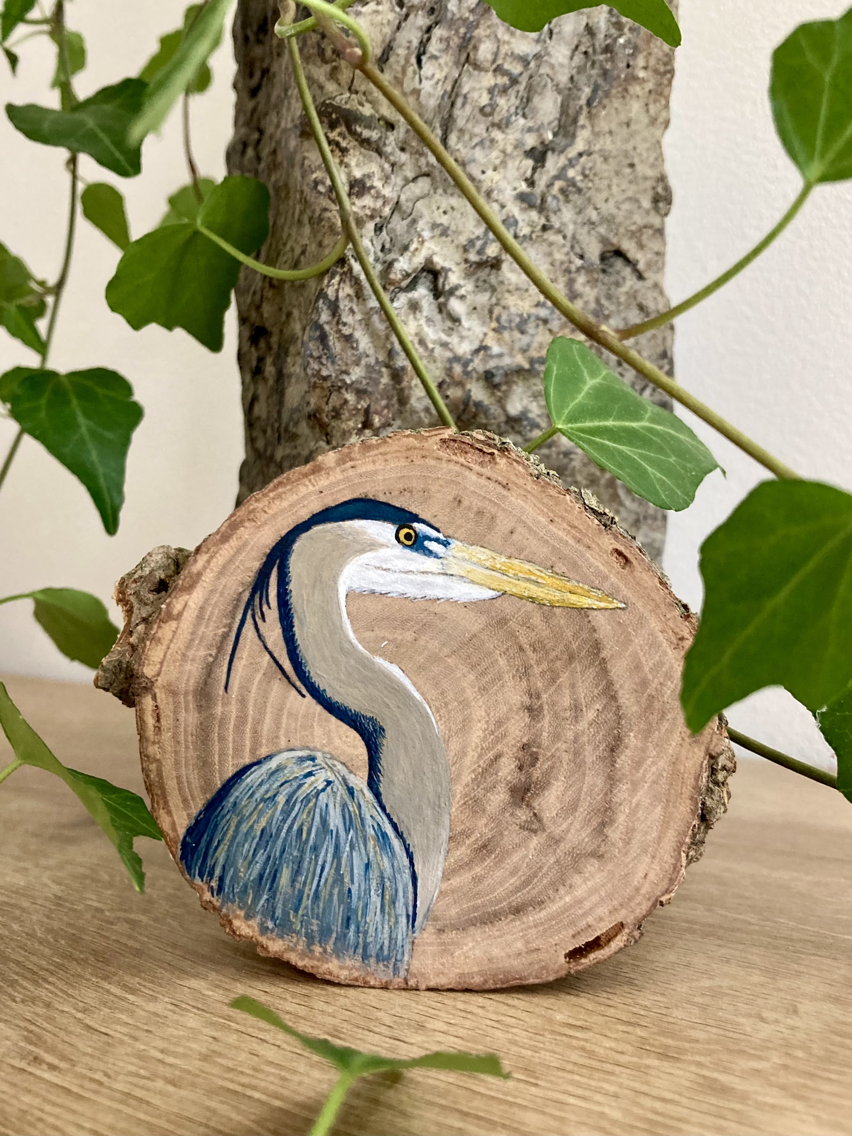 Boomschijfje Reiger